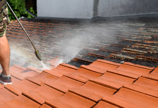 Best Roof Pressure Washing  in Exandria, AL