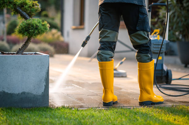 Local Pressure Washing Services in Alexandria, AL